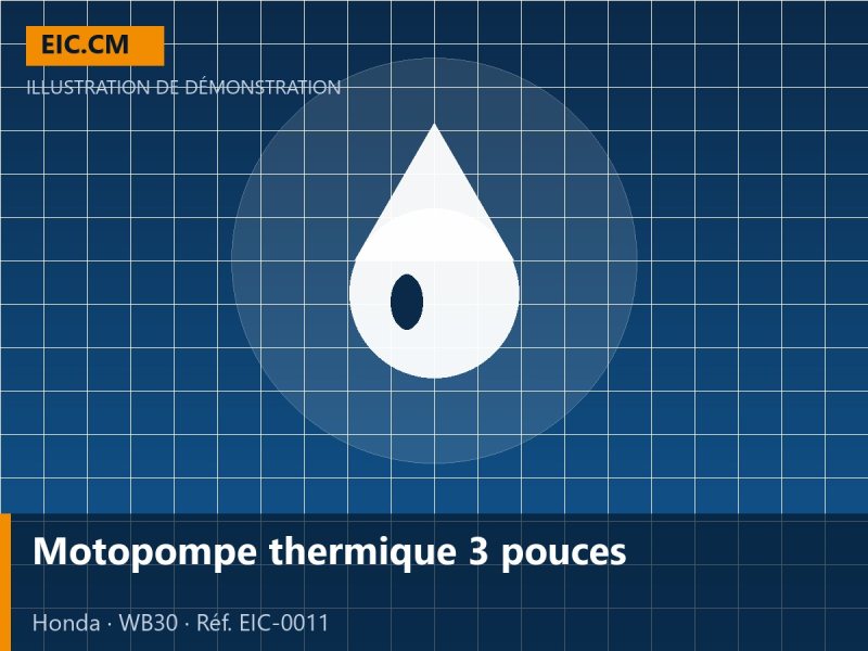 Motopompe thermique 3 pouces