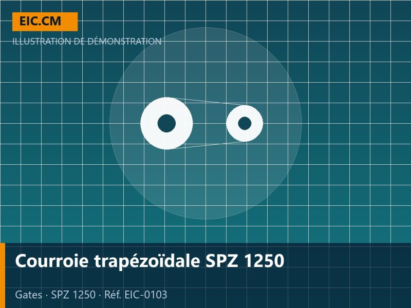 Courroie trapézoïdale SPZ 1250