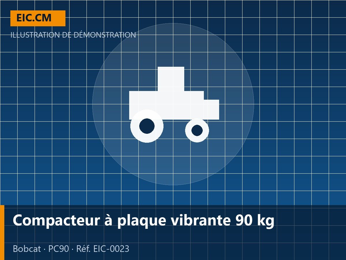 Compacteur à plaque vibrante 90 kg