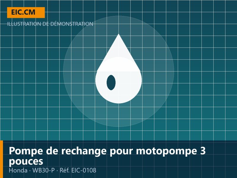 Pompe de rechange pour motopompe 3 pouces