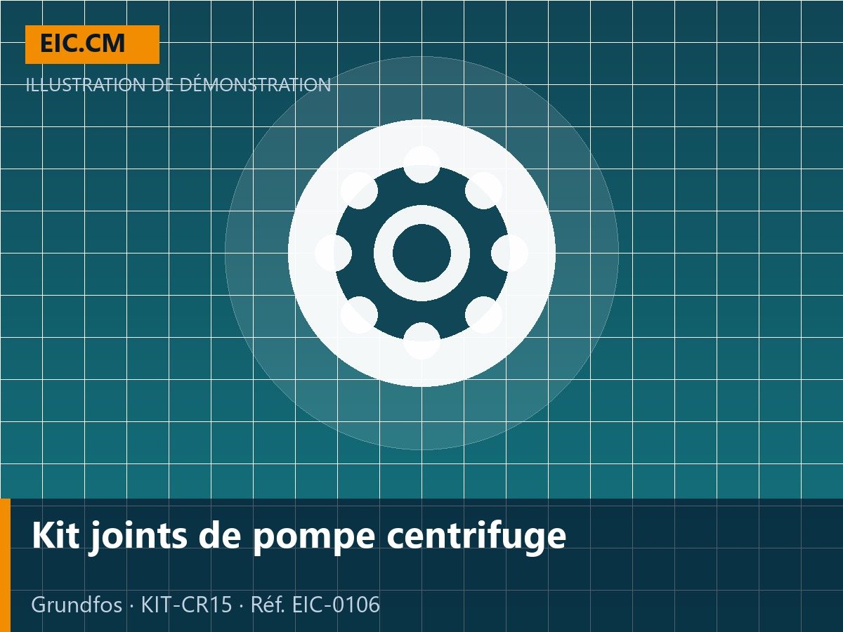 Kit joints de pompe centrifuge
