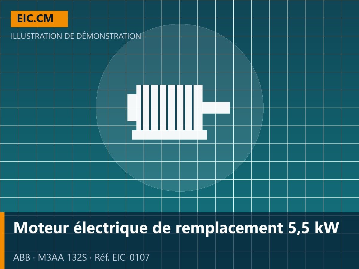 Moteur électrique de remplacement 5,5 kW