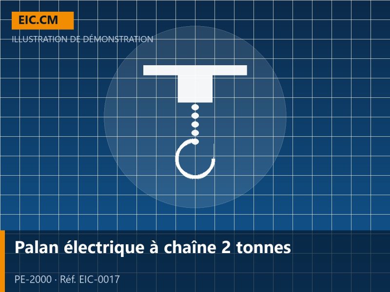 Palan électrique à chaîne 2 tonnes